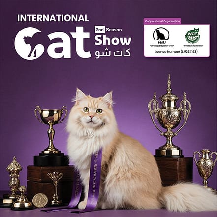 Cat Show in Riyadh – Exhibitions TMLH.com Special Offers, Deals & Discounts in Turkey
