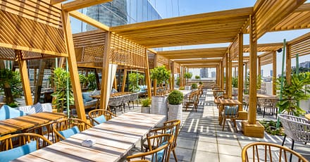 4* Premium Dinner Buffet With Tea/Coffee And Optional House Beverages Dubai TMLH.com Special Offers, Deals & Discounts in Turkey