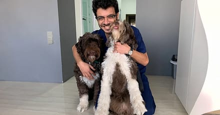 Take Care Of Your Pet: Vaccination Or Preventive Care Package Dubai TMLH.com Special Offers, Deals & Discounts in Turkey