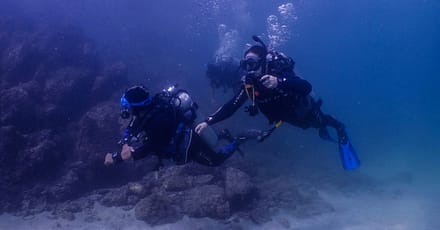 Experience Scuba Diving With Pool And Beach Dives! Dubai TMLH.com Special Offers, Deals & Discounts in Turkey