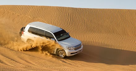 Basic Package Or Vip Desert Safari At Iconic Tourism Llc Dubai TMLH.com Special Offers, Deals & Discounts in Turkey