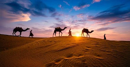 Premium Desert Safari With Vip Transfer, Food, And Live Shows Dubai TMLH.com Special Offers, Deals & Discounts in Turkey