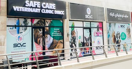 Cat And Dog Check Up And Vaccinations Dubai TMLH.com Special Offers, Deals & Discounts in Turkey