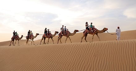Tour – Bike Dubai TMLH.com Special Offers, Deals & Discounts in Turkey