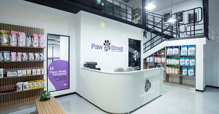 Pamper Your Pet Basic Or Full Grooming For Small To Xl Dogs Or Cats Dubai TMLH.com Special Offers, Deals & Discounts in Turkey