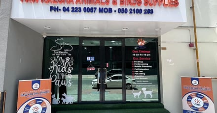 Pet Store Dubai TMLH.com Special Offers, Deals & Discounts in Turkey