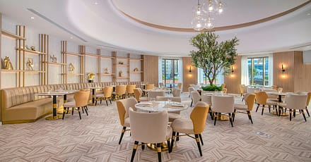 5* Savor The Flavors Of France Abu Dhabi TMLH.com Special Offers, Deals & Discounts in Turkey