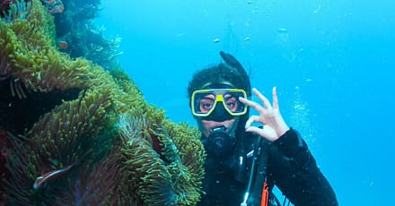 Open Water Scuba Diver Course At Goblin Diving Center Dubai TMLH.com Special Offers, Deals & Discounts in Turkey