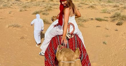 Falconry – Recreational Dubai TMLH.com Special Offers, Deals & Discounts in Turkey