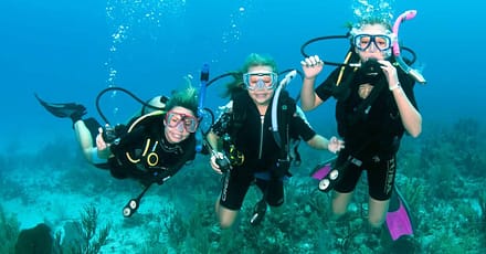 Vip Scuba Diving Tour Dubai TMLH.com Special Offers, Deals & Discounts in Turkey