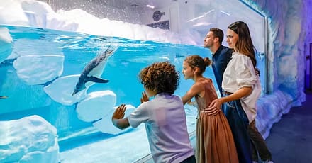 Join The Two-Week Kids Club And Enroll For Five Days A Week Dubai TMLH.com Special Offers, Deals & Discounts in Turkey 7