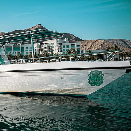 Exclusive Boating Experience – Dolphins Watching – Sightseeing and Tours TMLH.com Special Offers, Deals & Discounts in Turkey