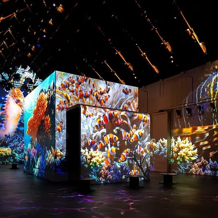 Fabrique des Lumières: The Sea – Recently Added Experiences TMLH.com Special Offers, Deals & Discounts in Turkey