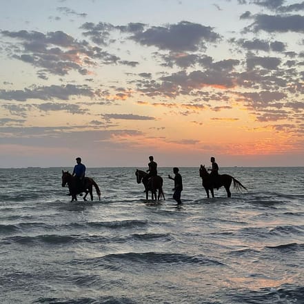 Horse Riding in Jeddah – Experiences TMLH.com Special Offers, Deals & Discounts in Turkey