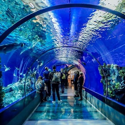 Istanbul Aquarium Ticket & Shuttle – Experiences TMLH.com Special Offers, Deals & Discounts in Turkey
