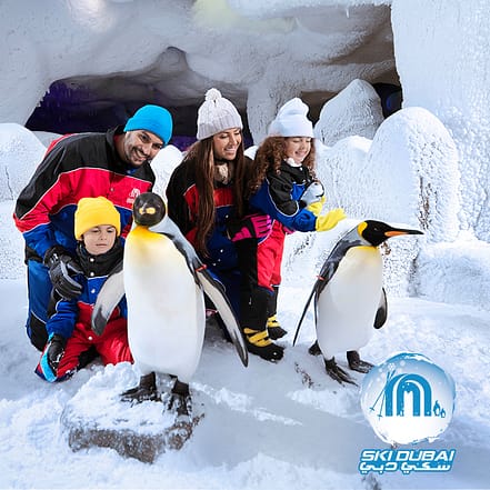 Ski Dubai: Snow Premium with Penguin Encounter – Must-see attractions TMLH.com Special Offers, Deals & Discounts in Turkey