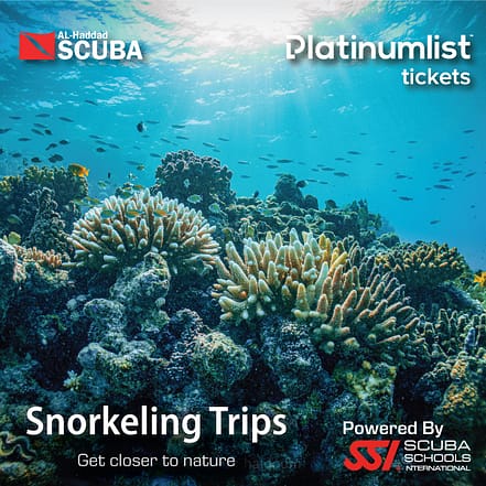 Snorkeling Daily Trips in Jeddah – Attractions Special Offers TMLH.com Special Offers, Deals & Discounts in Turkey