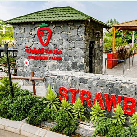Strawberry Farm – Top-Rated Attractions TMLH.com Special Offers, Deals & Discounts in Turkey