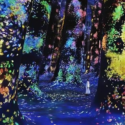 TeamLab Phenomena Abu Dhabi – Dated – Museums TMLH.com Special Offers, Deals & Discounts in Turkey