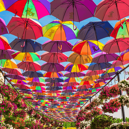 Dubai Miracle Garden – Gardens & parks TMLH.com Special Offers, Deals & Discounts in Turkey