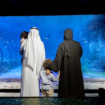 The National Aquarium Abu Dhabi – Experiences TMLH.com Special Offers, Deals & Discounts in Turkey